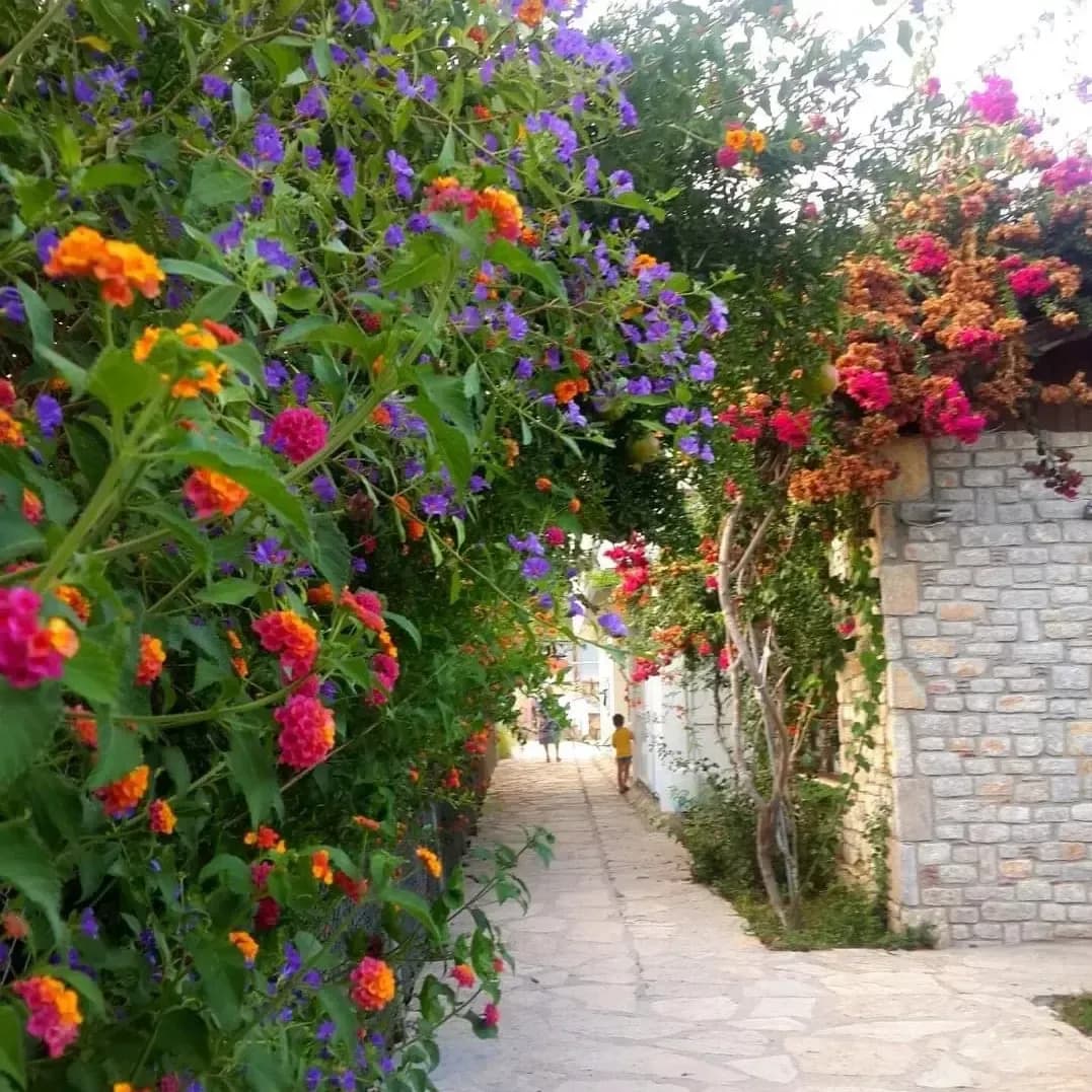 Doğa