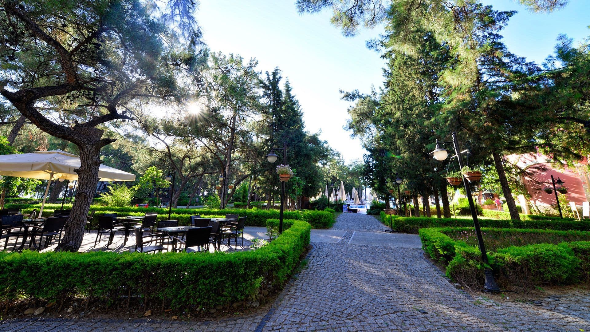 Doğa