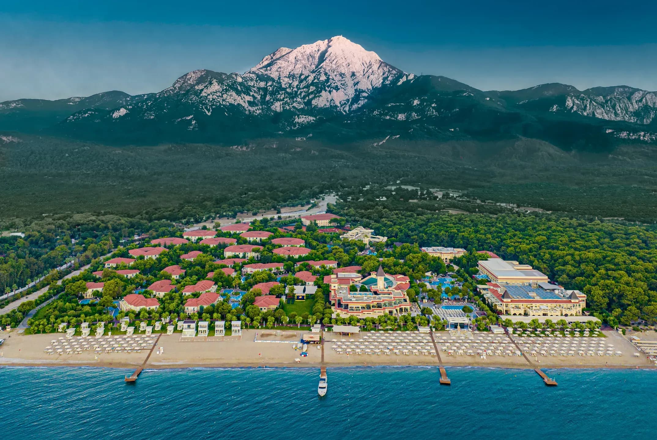 Tüm Fotoğraflar