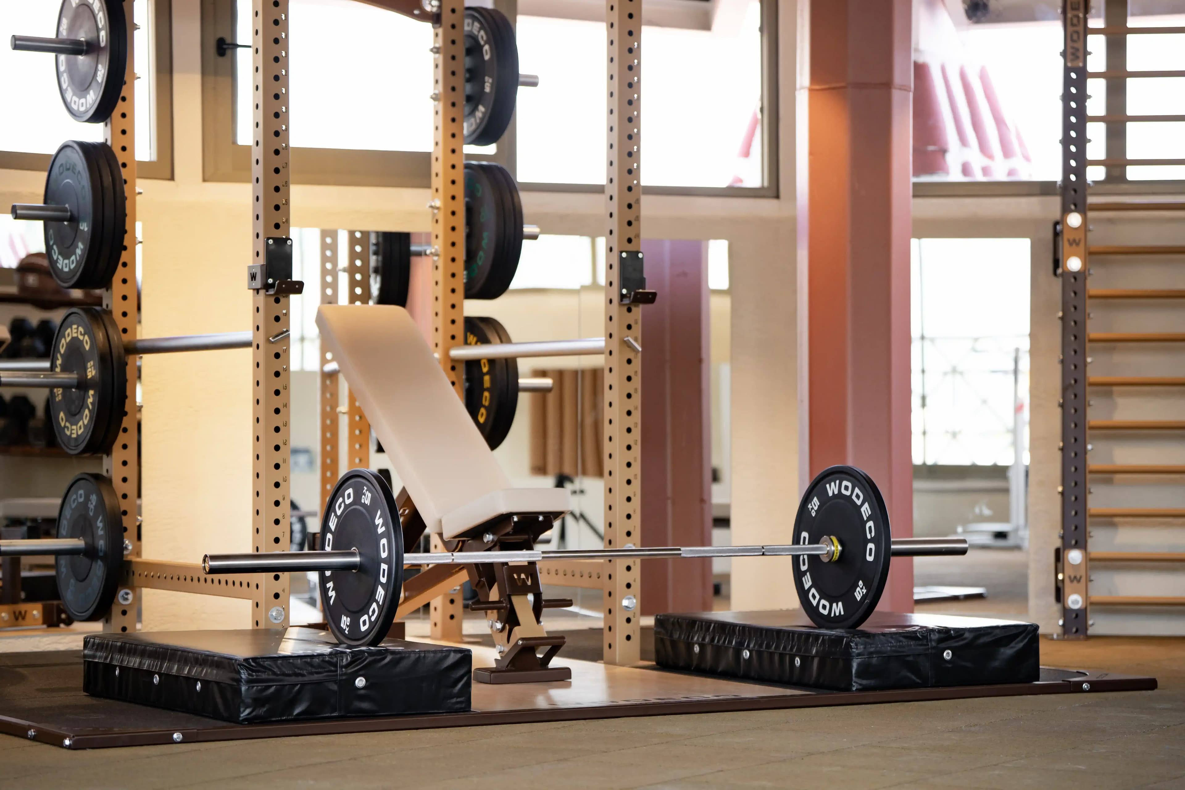 Martı La Perla Hotel (+16) Aktiviteler