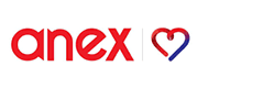 Anex 
