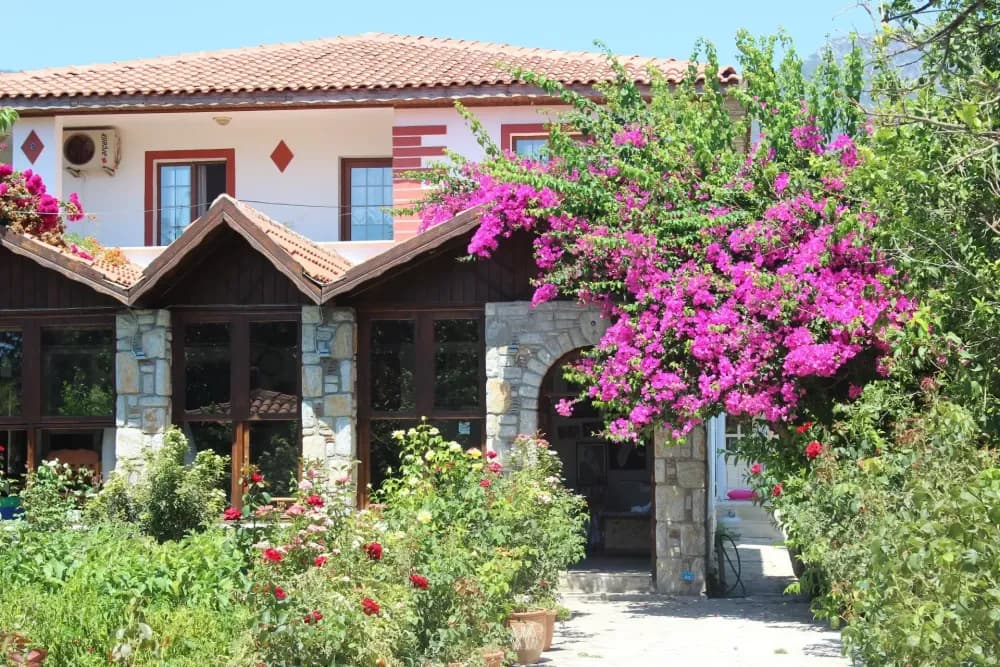 Tüm Fotoğraflar