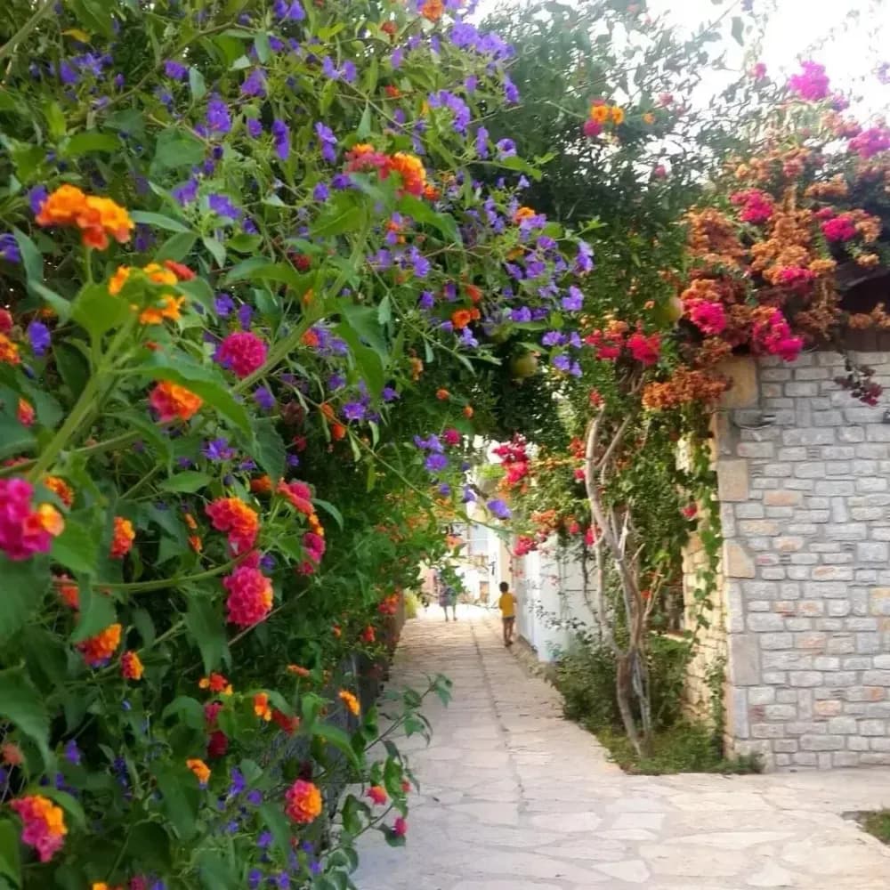 Tüm Fotoğraflar