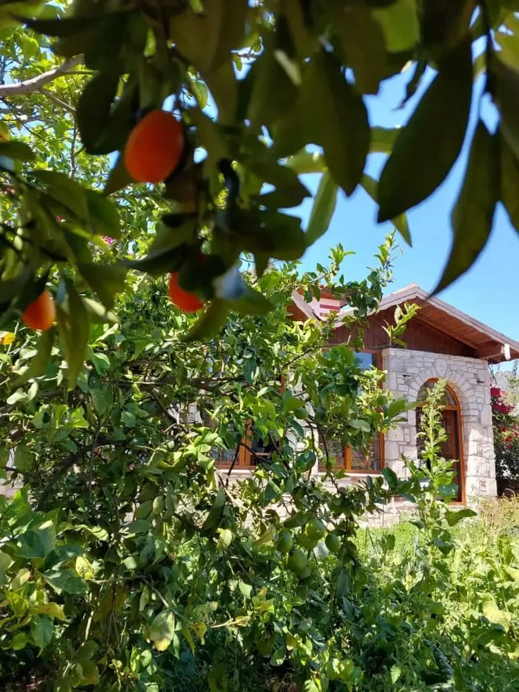 Tüm Fotoğraflar