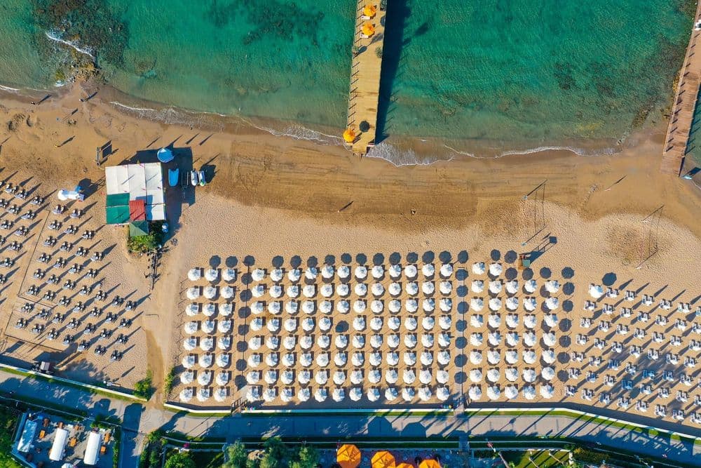 Tüm Fotoğraflar