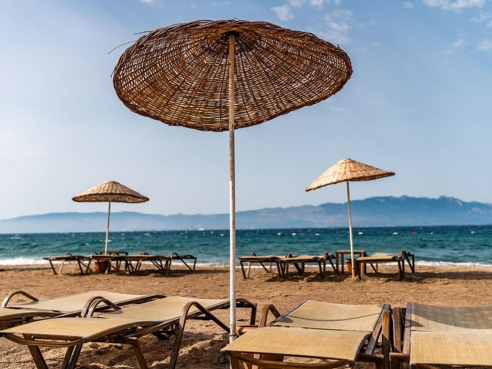 Tüm Fotoğraflar