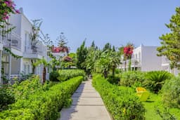 Petunya Beach Resort