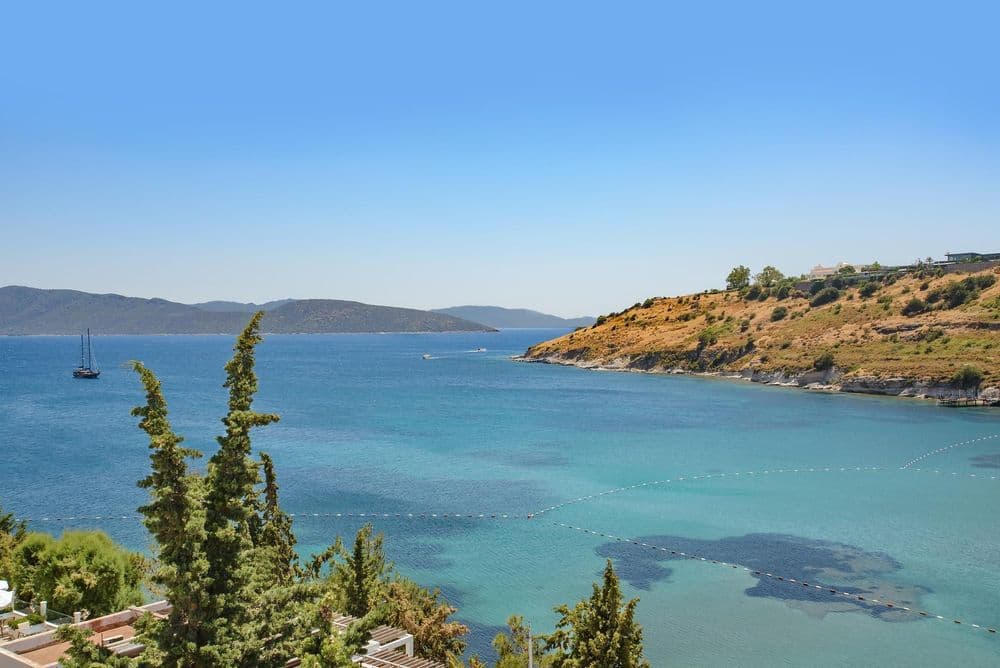 Tüm Fotoğraflar