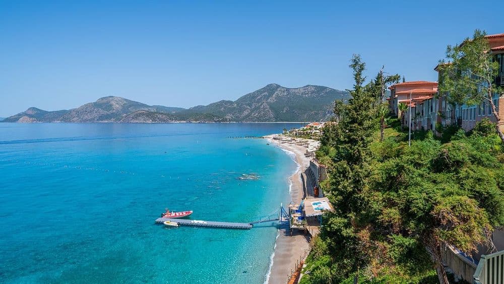 Tüm Fotoğraflar