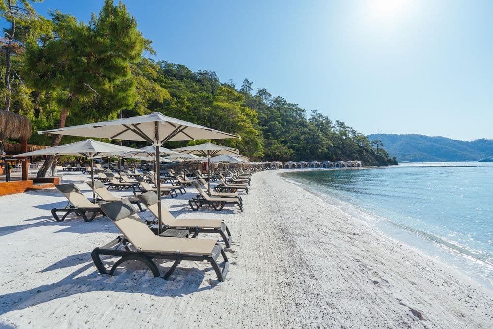 Tüm Fotoğraflar