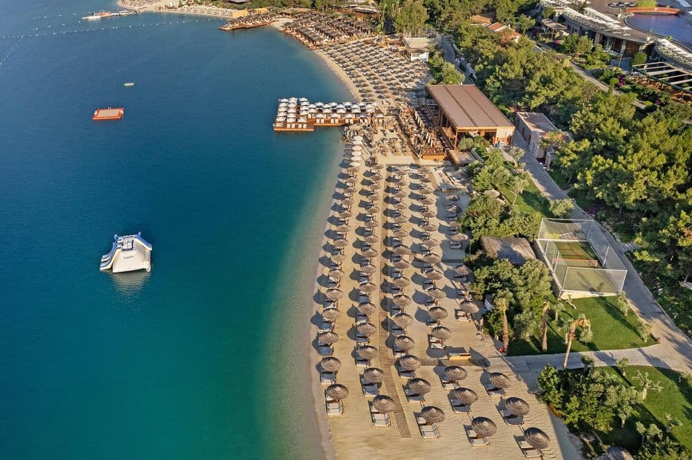 Tüm Fotoğraflar