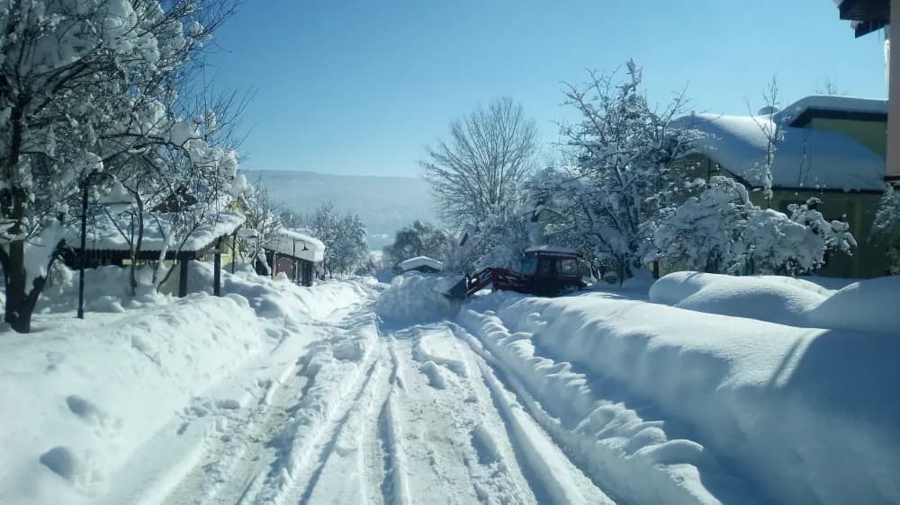 Tüm Fotoğraflar