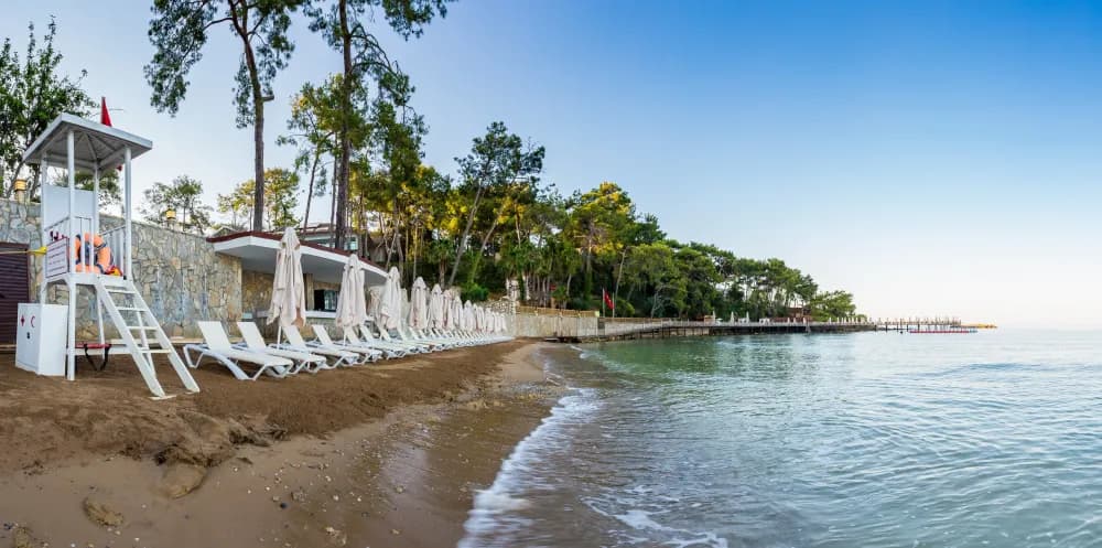 Tüm Fotoğraflar