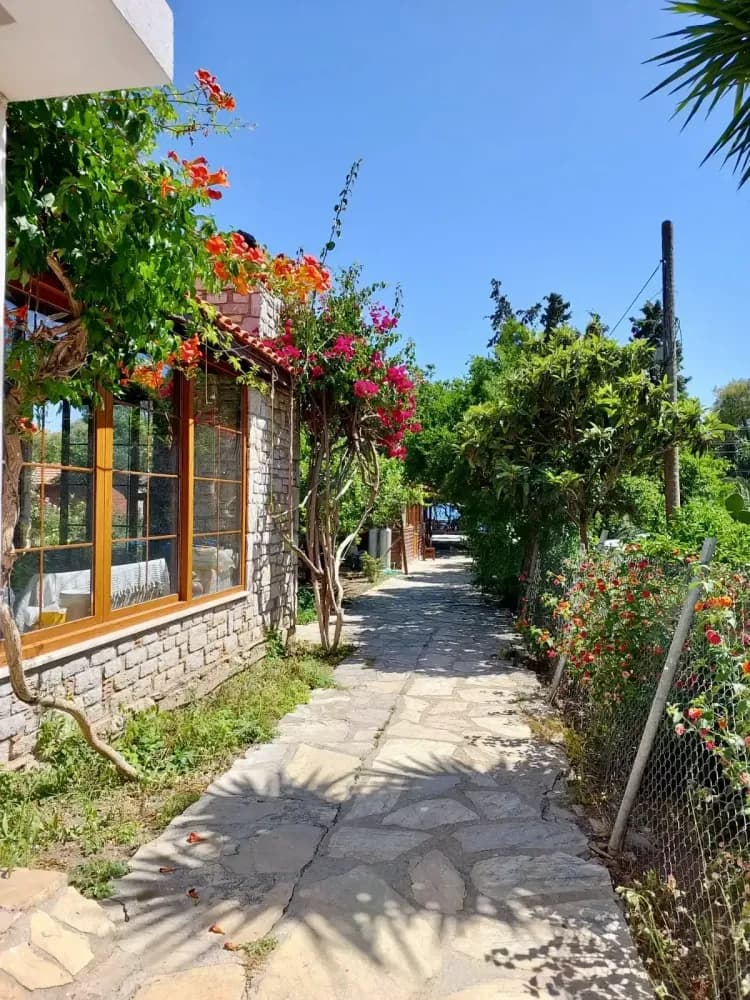 Tüm Fotoğraflar