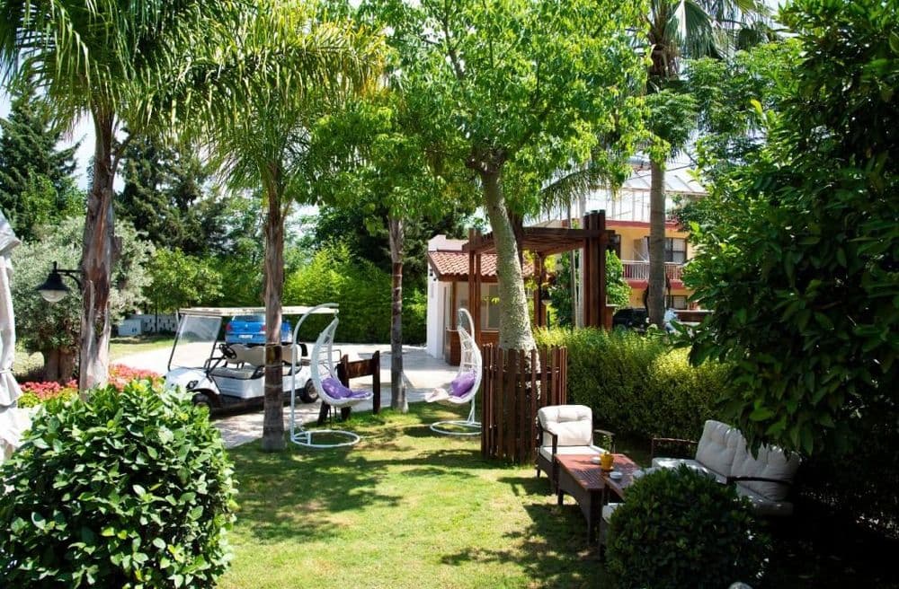 Tüm Fotoğraflar