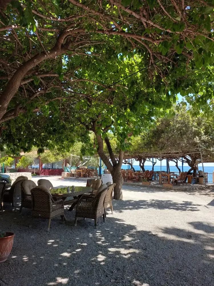 Tüm Fotoğraflar