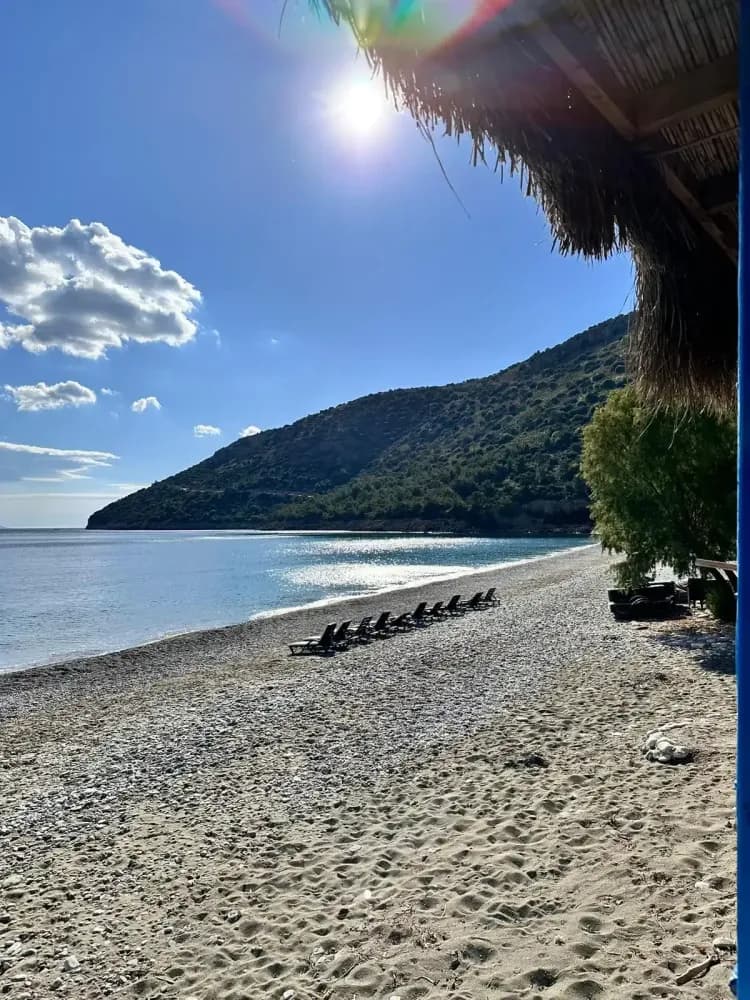 Tüm Fotoğraflar