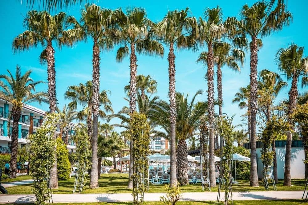 Belek Beach Resort Hotel Tüm Fotoğraflar