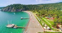 Robinson Çamyuva (+18)