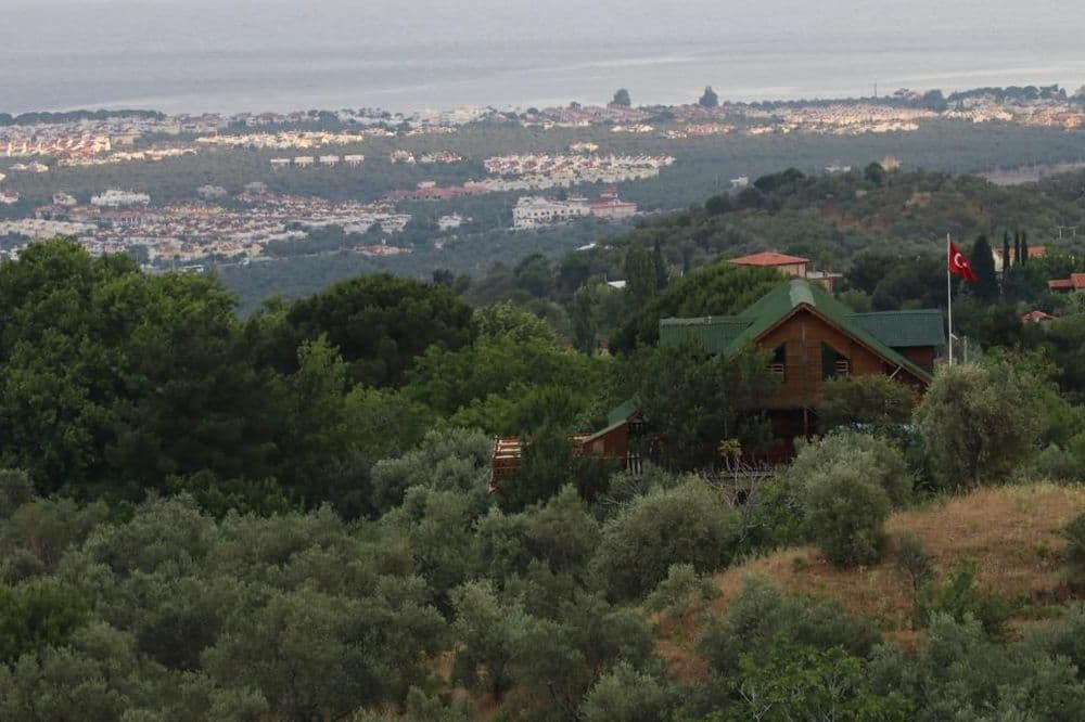 Tüm Fotoğraflar