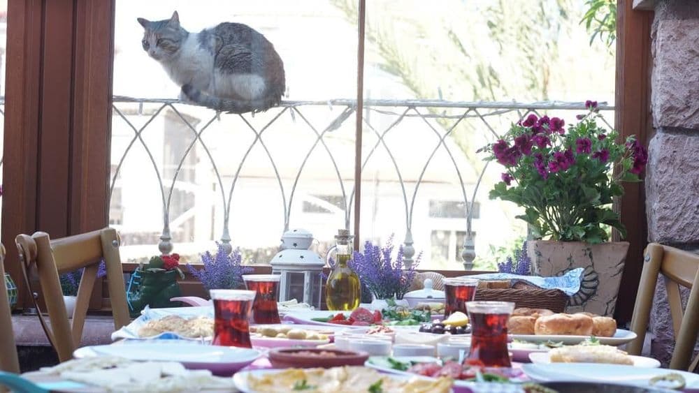 Tüm Fotoğraflar