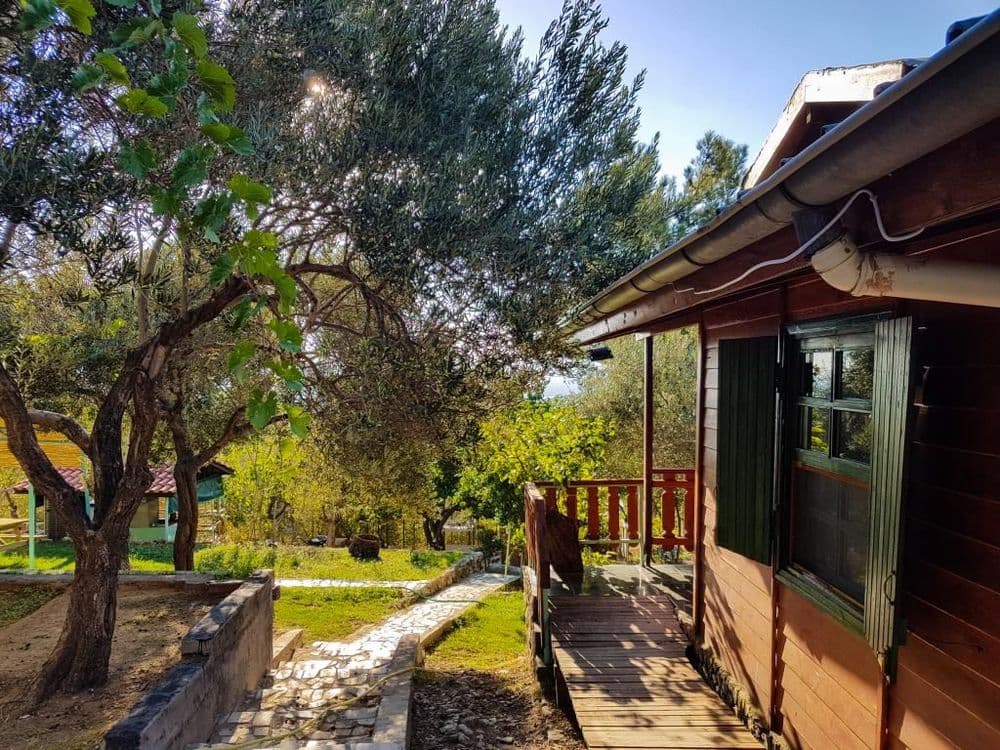 Tüm Fotoğraflar