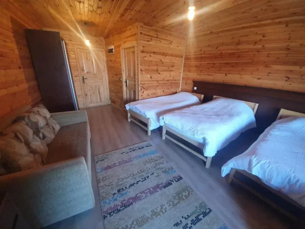Tüm Fotoğraflar