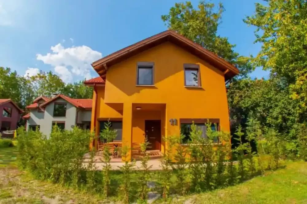 Tüm Fotoğraflar