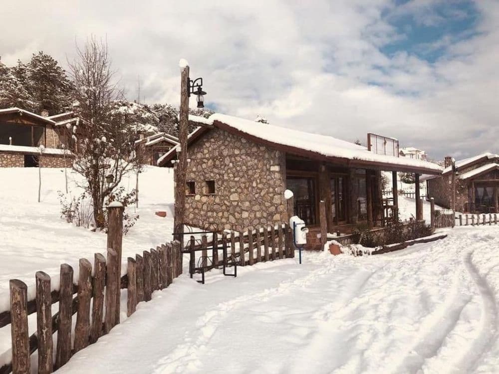 Tüm Fotoğraflar